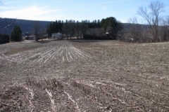 IMG_1383-400x300