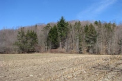 IMG_1384-400x300