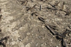 IMG_1389-400x225