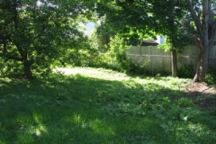 IMG_2044-400x300