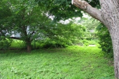 IMG_2079-400x300