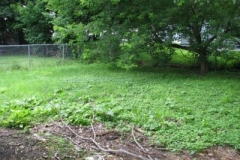 IMG_2080-400x300