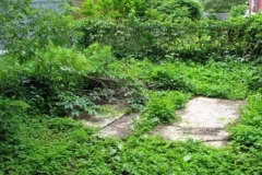 IMG_2082-400x300