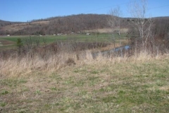 IMG_3785-400x300