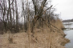 IMG_6151-400x300
