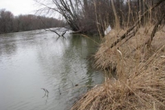 IMG_6152-400x300