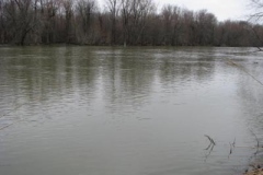 IMG_6154-400x300