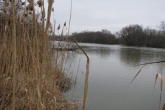 IMG_6155-400x300