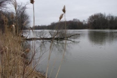 IMG_6156-400x300
