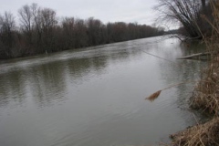 IMG_6157-400x300