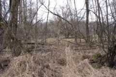IMG_6158-400x300