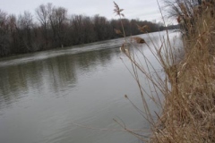 IMG_6159-400x300