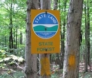F_IMG_7116-300x400
