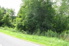 IMG_7051-400x300