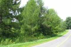 IMG_7053-400x300
