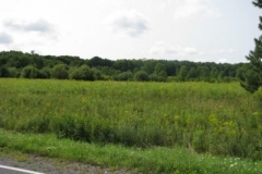 IMG_7054-400x300