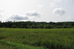 IMG_7055-400x300
