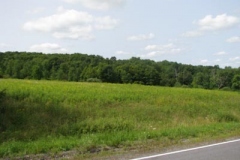 IMG_7056-400x300