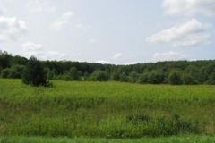 IMG_7058-400x300