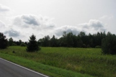 IMG_7059-400x300