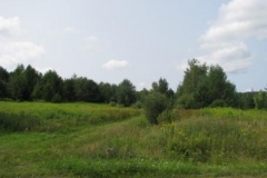 IMG_7061-400x300