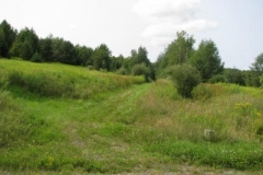 IMG_7062-400x300