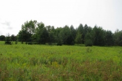 IMG_7065-400x300