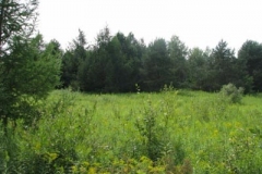 IMG_7067-400x300