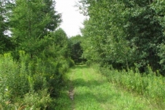 IMG_7068-400x300