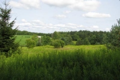 IMG_7069-400x300