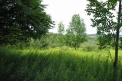 IMG_7070-400x300