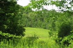 IMG_7071-400x300