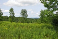 IMG_7072-400x300