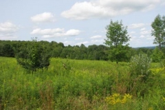 IMG_7073-400x300