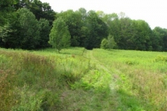 IMG_7074-400x300