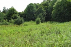 IMG_7075-400x300