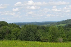 IMG_7082-400x300