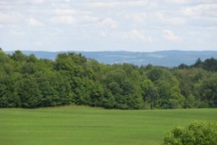 IMG_7083-400x300
