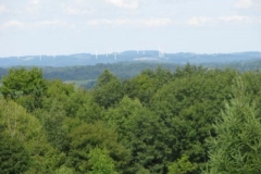 IMG_7084-400x300