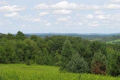 IMG_7087-400x300
