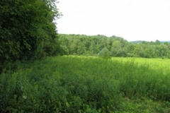 IMG_7088-400x300
