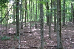IMG_7091-400x300