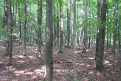 IMG_7092-400x300