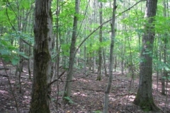 IMG_7094-400x300