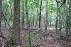 IMG_7096-400x300