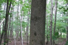IMG_7097-300x400