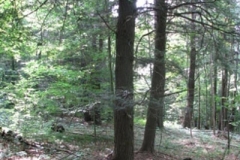IMG_7106-300x400