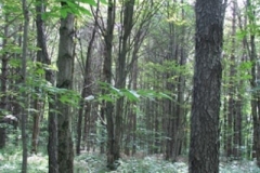 IMG_7112-300x400