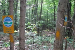 IMG_7118-400x300