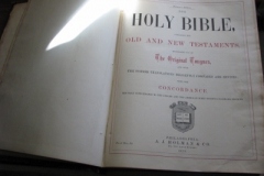 IMG_7305-400x300